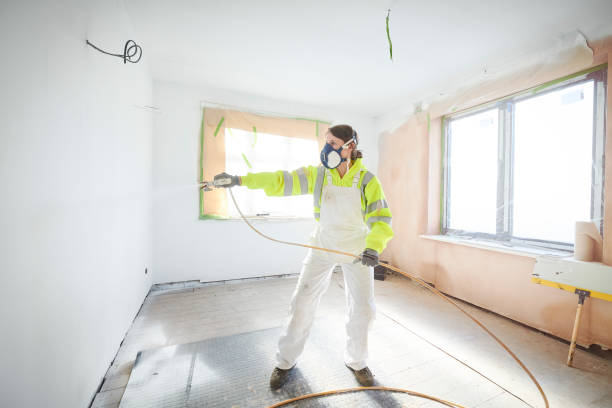 Trusted Franklin Park, NJ Mold Removal Experts