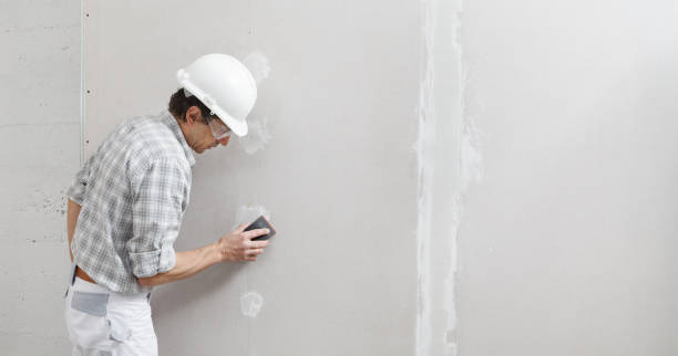 Best Mold Remediation for Healthcare Facilities  in Franklin Park, NJ