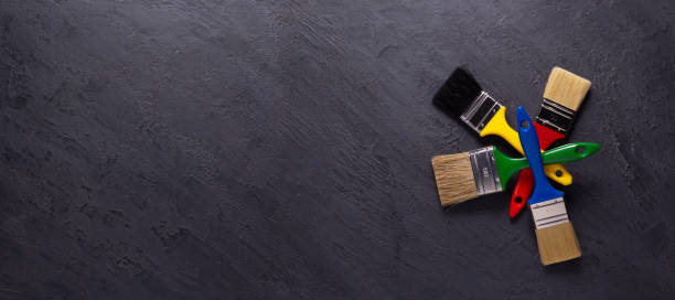 Best Mold Damage Restoration  in Franklin Park, NJ